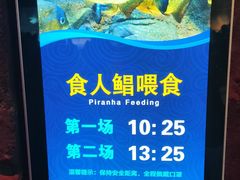 -哈尔滨波塞冬海底世界