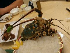 -深圳温德姆至尊酒店