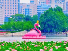 -莲花池公园