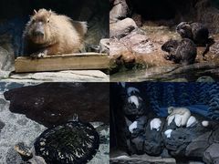 -郑州海洋馆