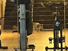 -YCHL Studios健身工作室(市二宫店)