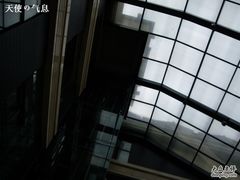 -杭州西湖桔子水晶酒店