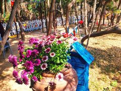 -小仙居·农家宴烤羊· 农庄