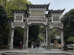 -云碧峰国家森林公园