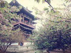 -西安青龙寺遗址景区