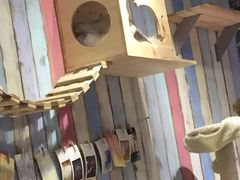 -小时光咖啡馆(开森度假森林店)