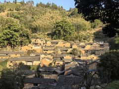 -杨家堂村