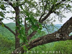 -五女山景区