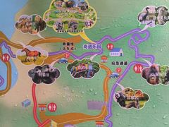 -西霞口神雕山野生动物世界