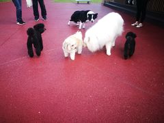 -春花秋色城市公园