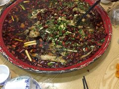 -东吴霸王兔(松青路店)