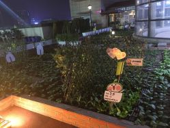 -梦田都市农场(银泰城店)