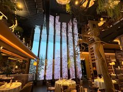 -桂满陇·海市蜃楼·黑金(国金店)