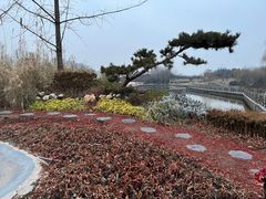 -西安浐灞国家湿地公园