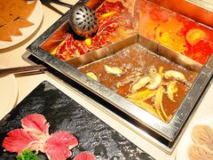 -红鼎坊·老成都火锅(新南门店)