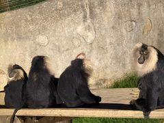 -大连森林动物园