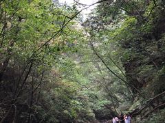 -九龙潭景区