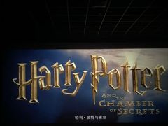 -万达影城(洛阳万达广场IMAX激光店)