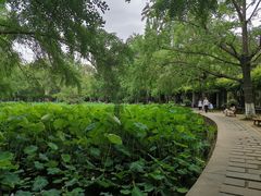 -四川大学(华西校区)