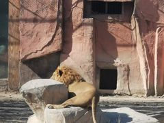 -新疆天山野生动物园