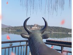 -颐和园