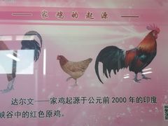 -兴芮温泉度假区