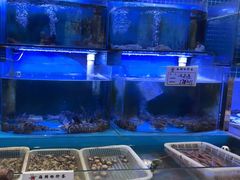 -俏东方·海味水饺·青岛菜(崂山店)