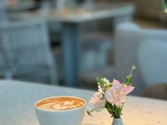 -Tomacado花厨(One ITC店)