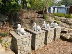 -深圳国际园林花卉博览园