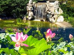 -国家植物园南园