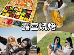 -栖露营camping·天幕烧烤·团建拓展·采摘营地