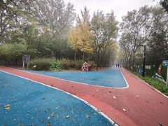 -大兴滨河森林公园