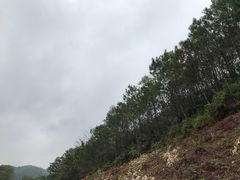 -大地土窑菜馆·特色罗浮农家菜(罗浮山景区店)