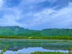 -大九湖