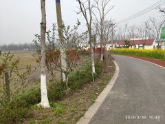 -上海长兴岛郊野公园