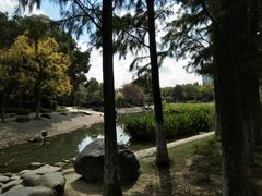 -昆山城市公园