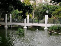 -九龙公园