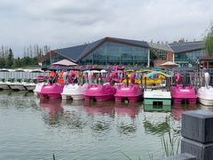 -上海长兴岛郊野公园