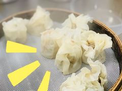 招牌鲜肉烧麦-晓友烧麦(光华村店)