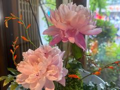 -鲤院·新中式美学·庭院餐厅(夫子庙店)