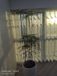 -HEYAN荷妍专业脱毛连锁机构