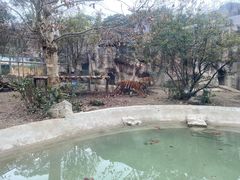 -成都动物园