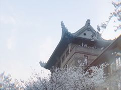 -武汉大学-樱园