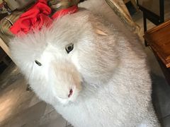 -羊肉街口老银川滩羊涮肉馆