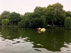 -索菲特西湖大酒店·香榭丽全日候餐厅(南山路店)