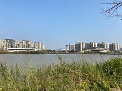 -飞凤山奥体公园