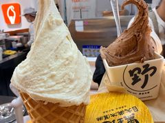 -野人先生现做冰淇淋(北京环宇荟店)