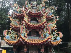 -阿里山神木遗迹