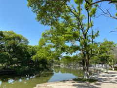 -江心屿景区
