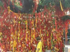 -芜湖方特东方神画